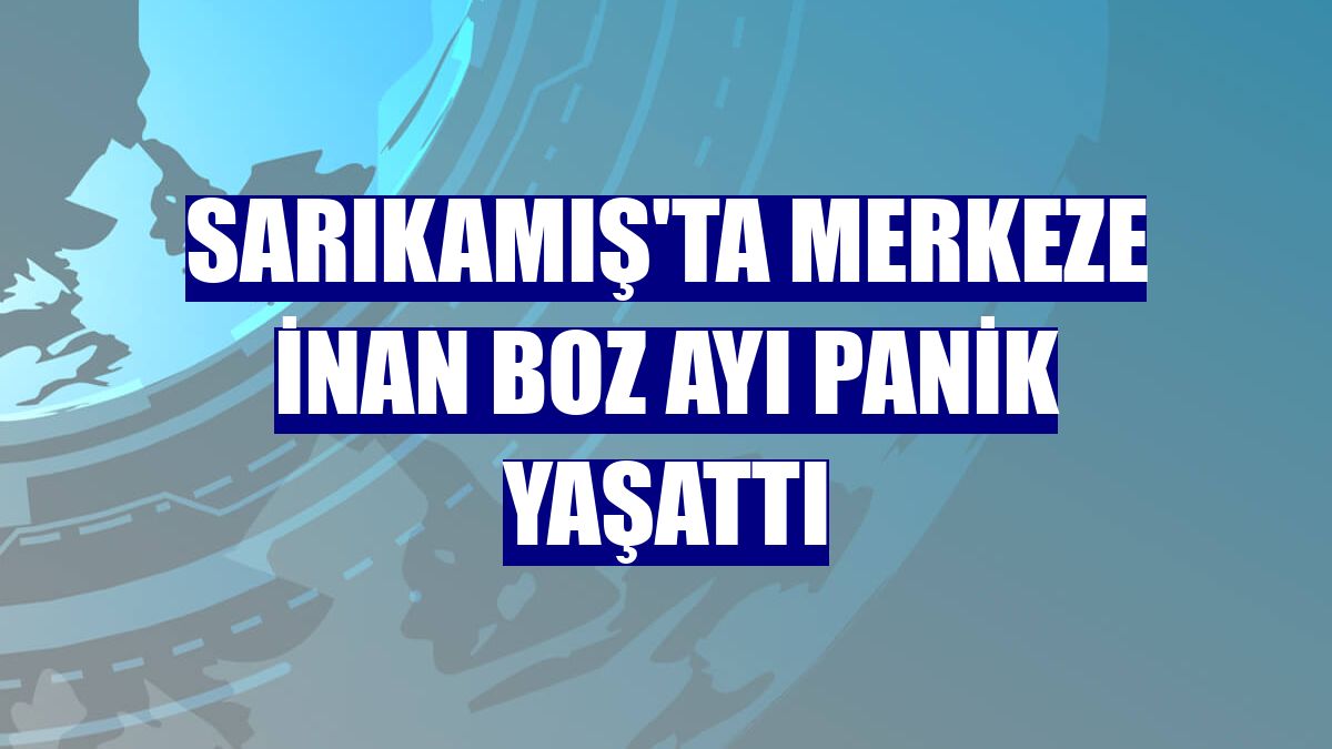 Sarıkamış'ta merkeze inan boz ayı panik yaşattı