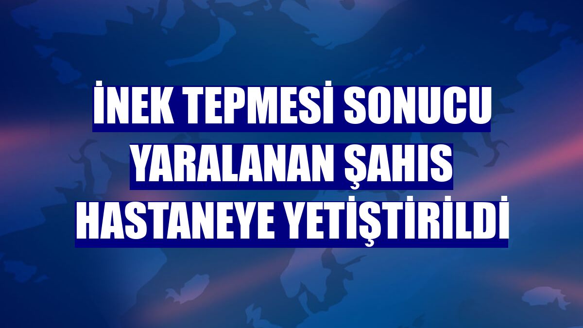 İnek tepmesi sonucu yaralanan şahıs hastaneye yetiştirildi