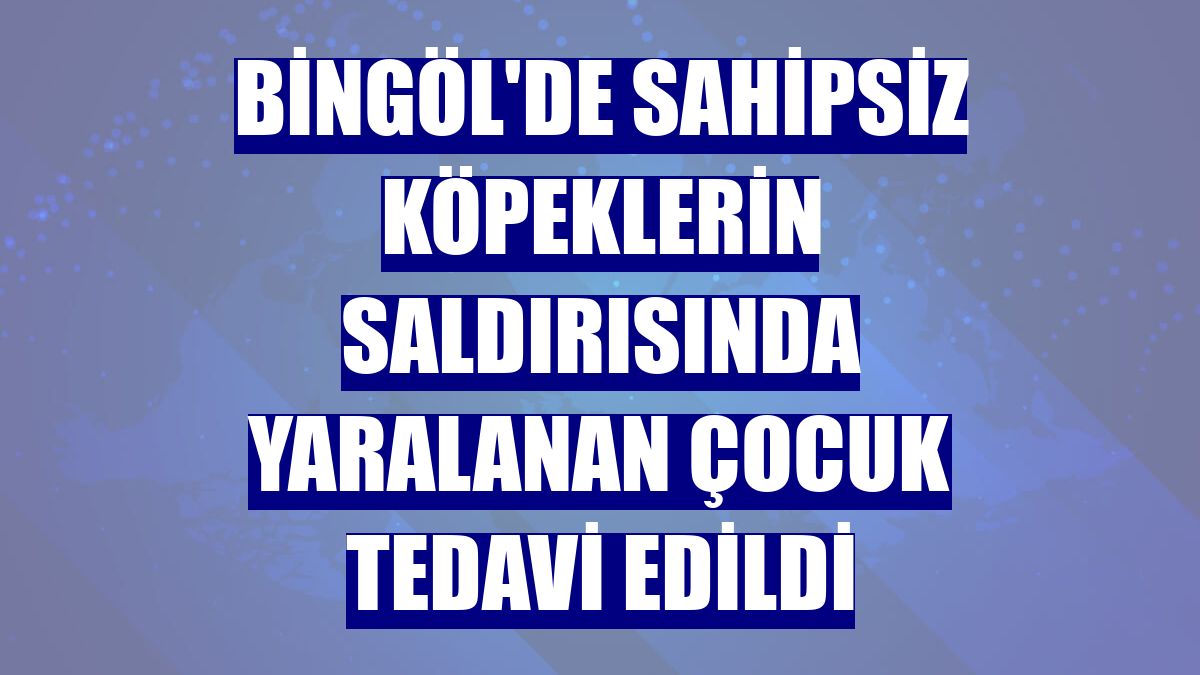 Bingöl'de sahipsiz köpeklerin saldırısında yaralanan çocuk tedavi edildi