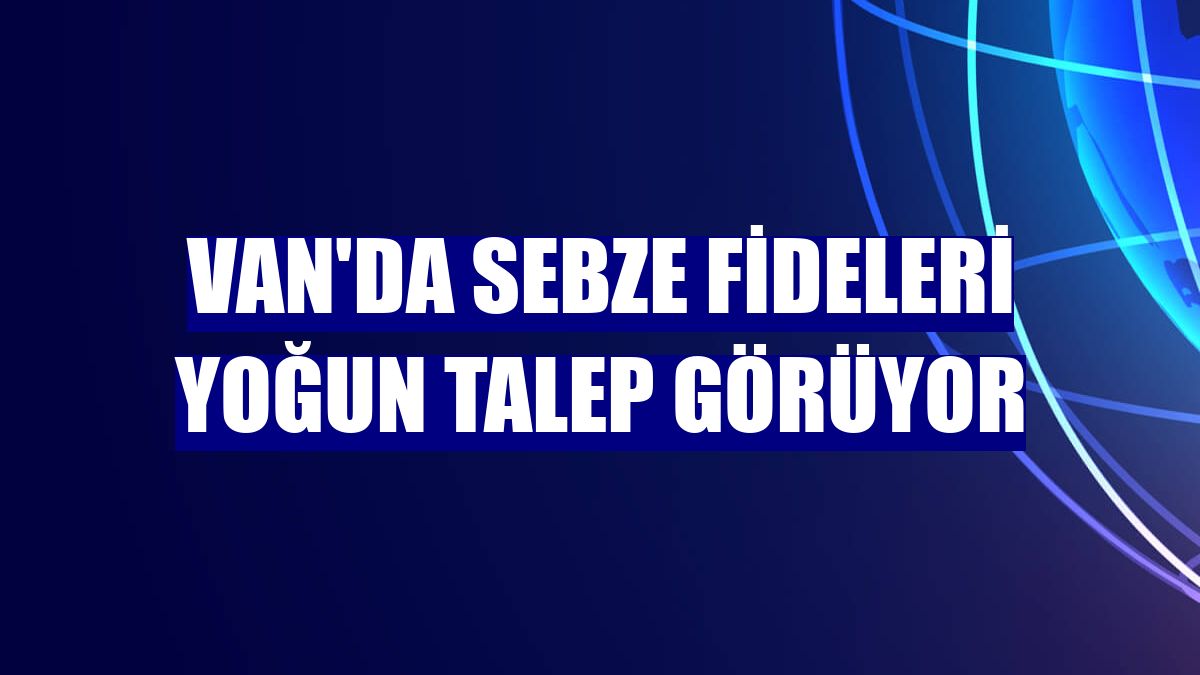 Van'da sebze fideleri yoğun talep görüyor