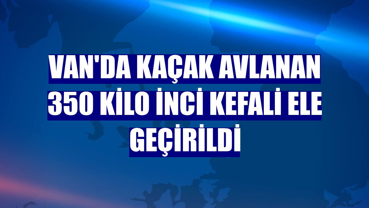 Van'da kaçak avlanan 350 kilo inci kefali ele geçirildi