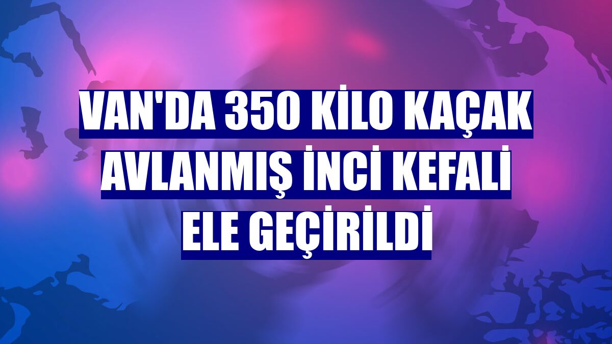 Van'da 350 kilo kaçak avlanmış inci kefali ele geçirildi