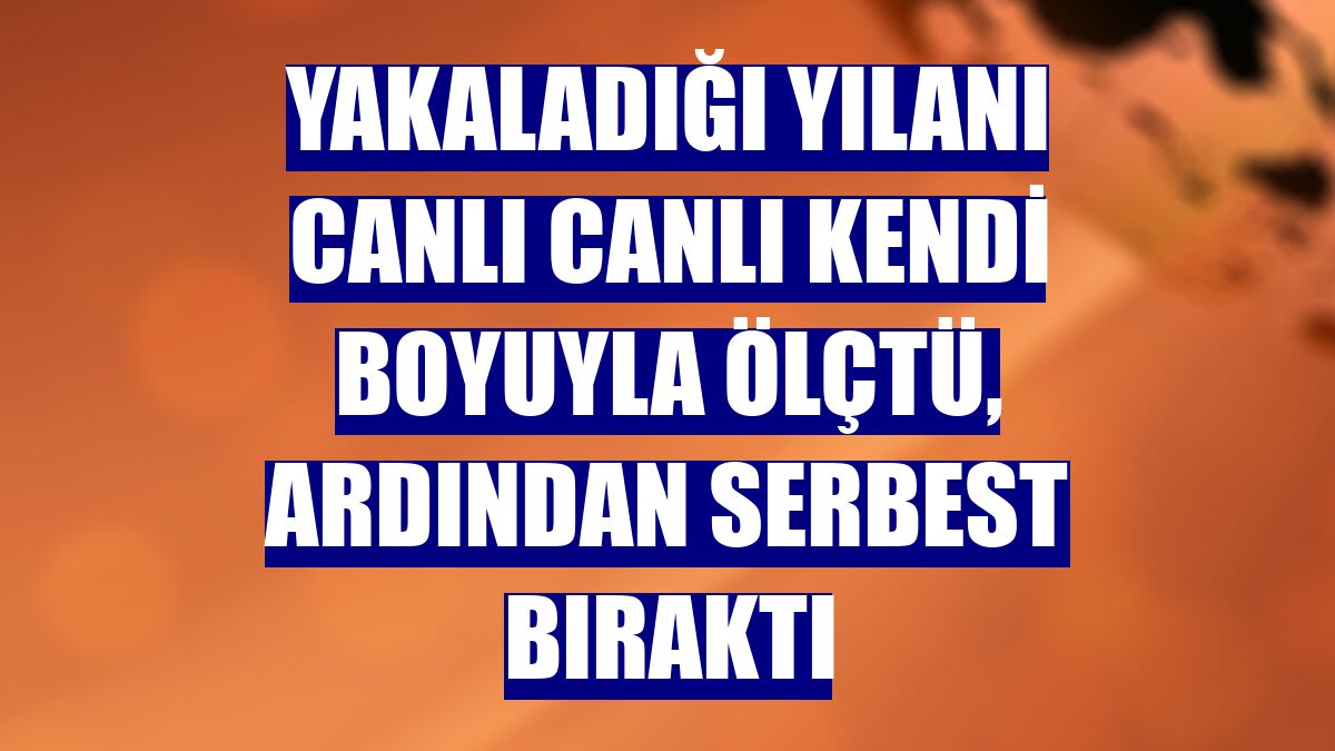 Yakaladığı yılanı canlı canlı kendi boyuyla ölçtü, ardından serbest bıraktı