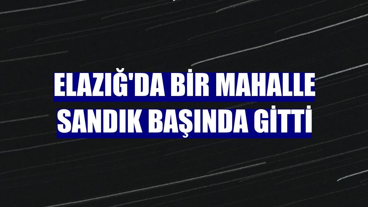 Elazığ'da bir mahalle sandık başında gitti