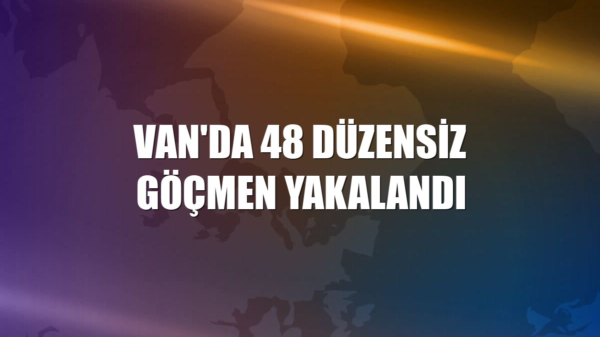 Van'da 48 düzensiz göçmen yakalandı