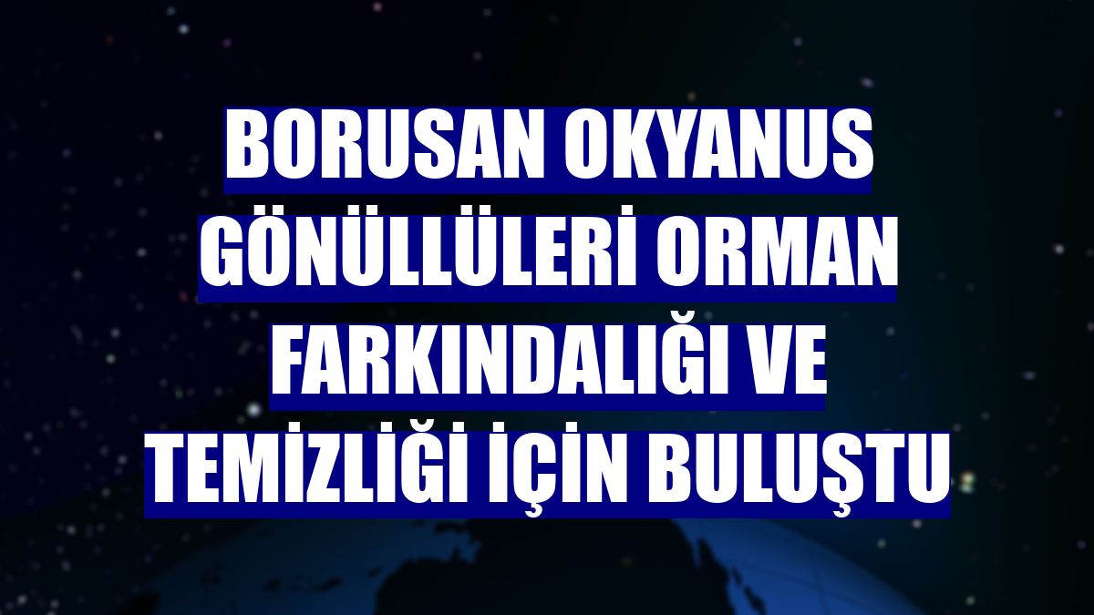 Borusan Okyanus Gönüllüleri orman farkındalığı ve temizliği için buluştu