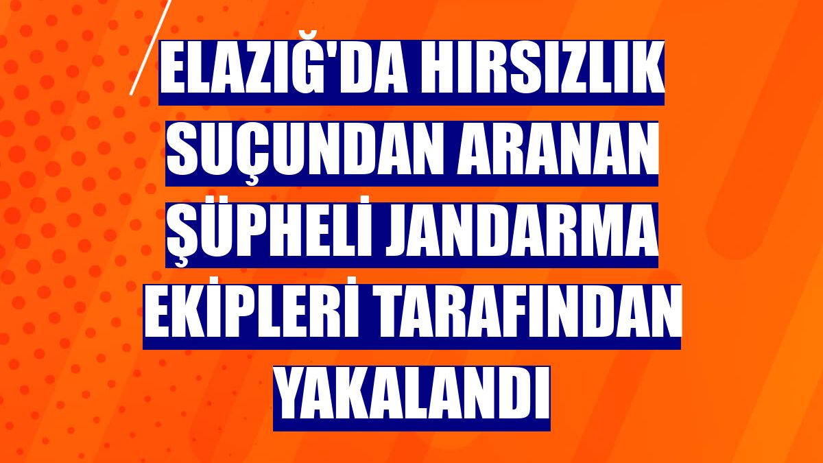 Elazığ'da hırsızlık suçundan aranan şüpheli jandarma ekipleri tarafından yakalandı