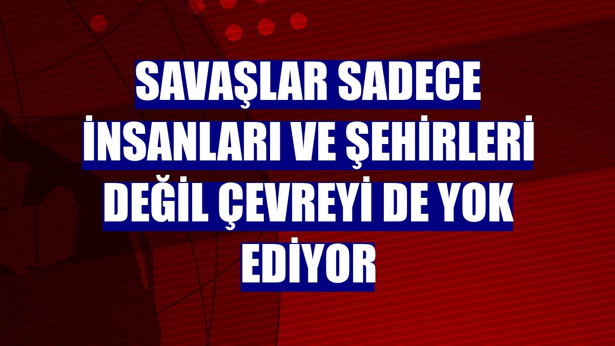 Savaşlar sadece insanları ve şehirleri değil çevreyi de yok ediyor