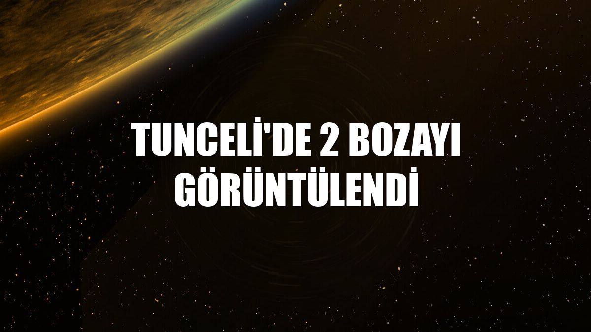 Tunceli'de 2 bozayı görüntülendi