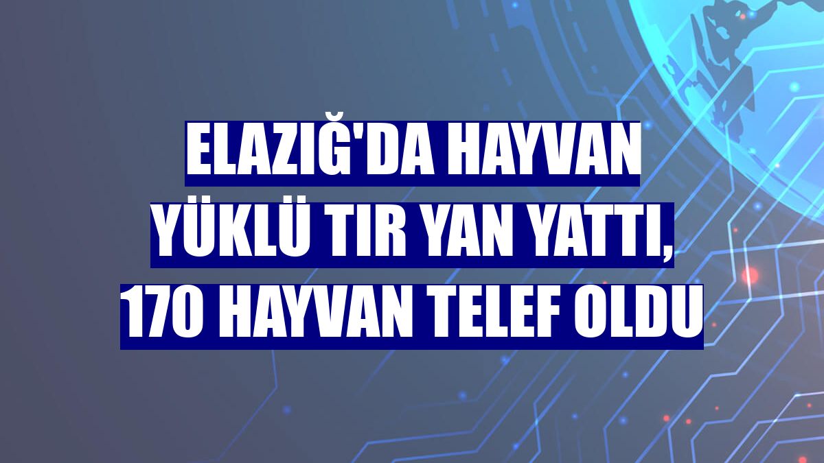 Elazığ'da hayvan yüklü tır yan yattı, 170 hayvan telef oldu