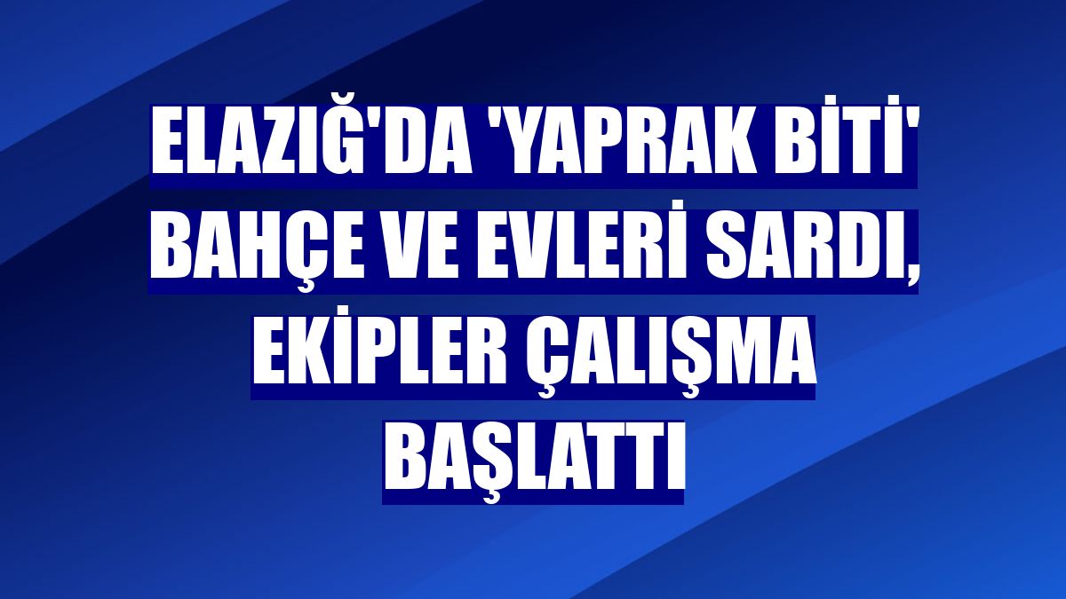 Elazığ'da 'yaprak biti' bahçe ve evleri sardı, ekipler çalışma başlattı