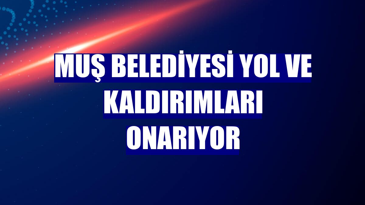 Muş Belediyesi yol ve kaldırımları onarıyor