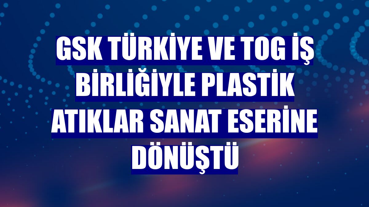 GSK Türkiye ve TOG iş birliğiyle plastik atıklar sanat eserine dönüştü