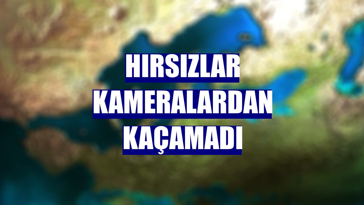 Hırsızlar kameralardan kaçamadı
