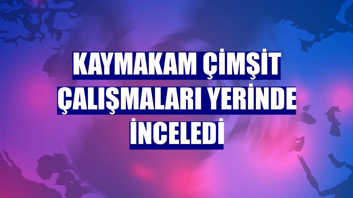 Kaymakam Çimşit çalışmaları yerinde inceledi