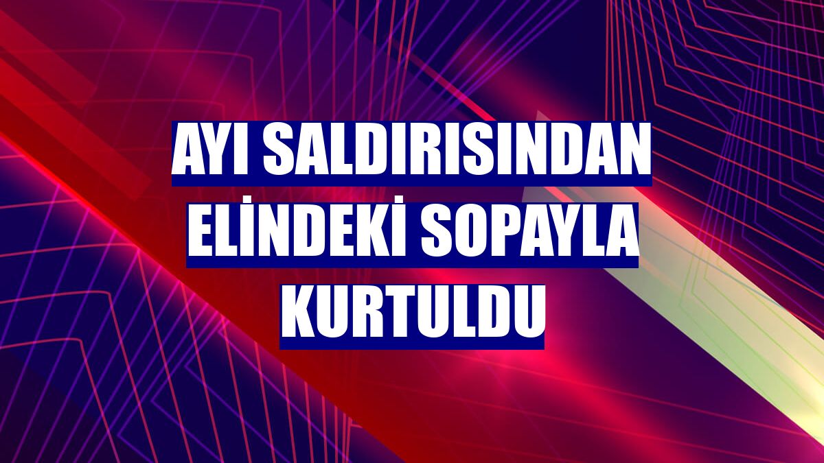 Ayı saldırısından elindeki sopayla kurtuldu