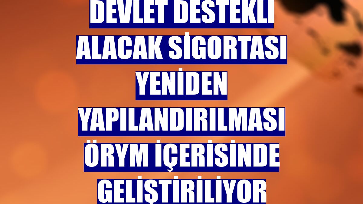 Devlet Destekli Alacak Sigortası yeniden yapılandırılması ÖRYM içerisinde geliştiriliyor