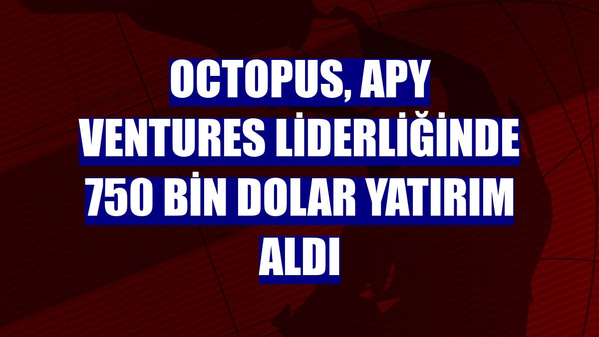 Octopus, APY Ventures liderliğinde 750 bin dolar yatırım aldı