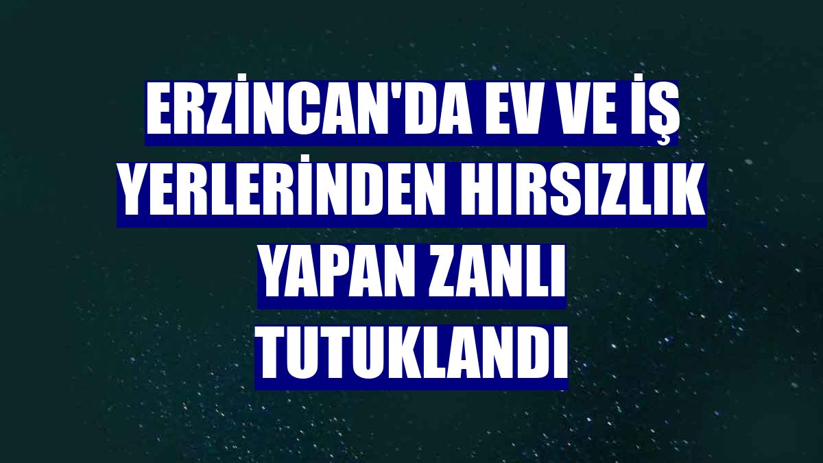 Erzincan'da ev ve iş yerlerinden hırsızlık yapan zanlı tutuklandı
