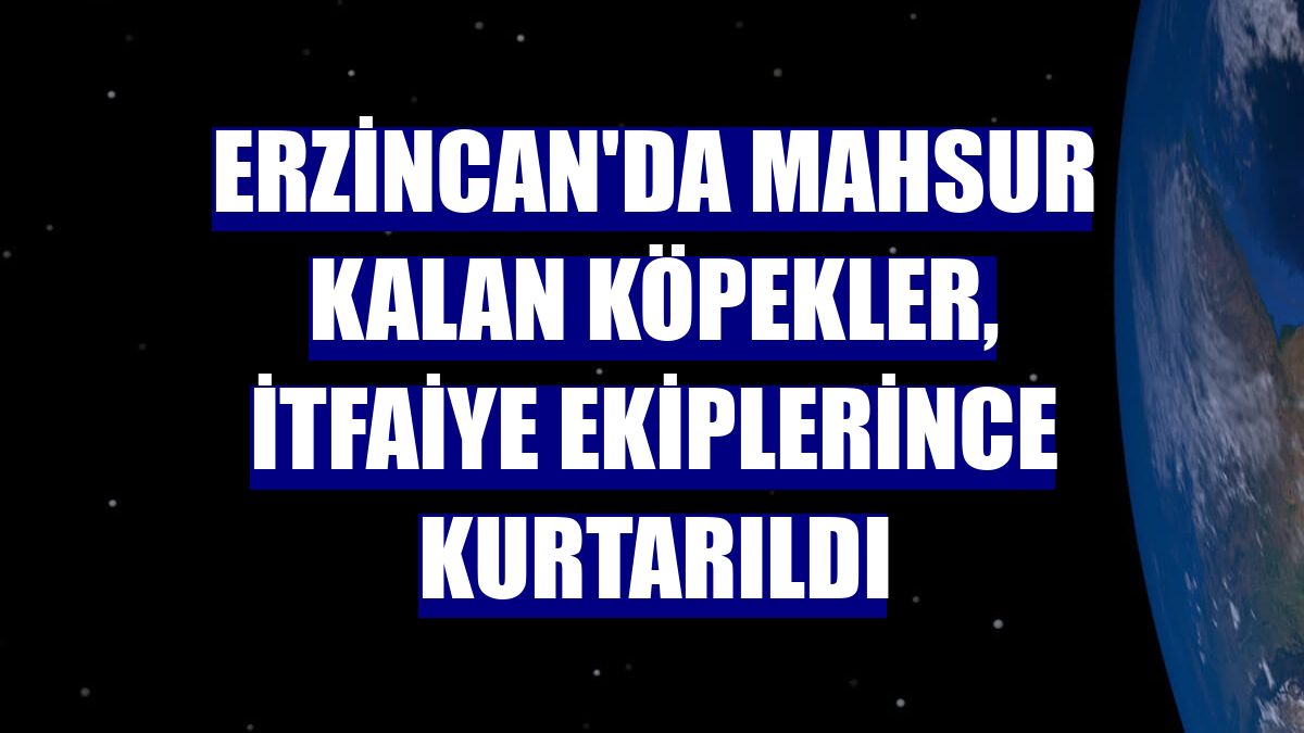 Erzincan'da mahsur kalan köpekler, itfaiye ekiplerince kurtarıldı