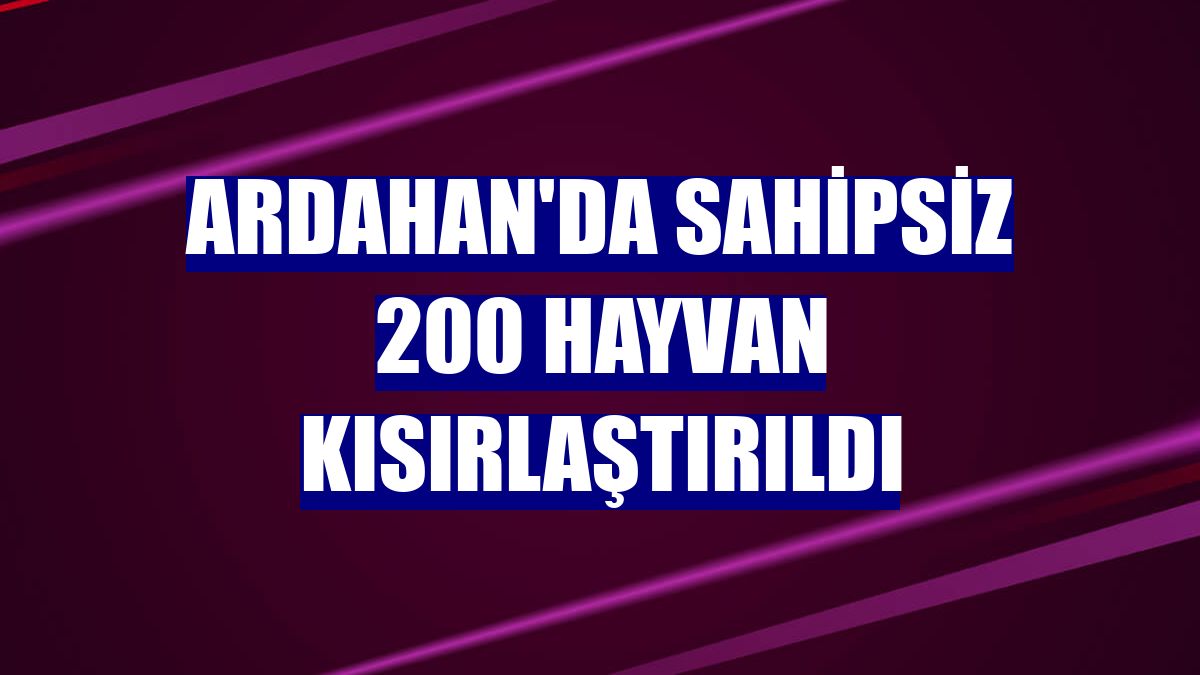 Ardahan'da sahipsiz 200 hayvan kısırlaştırıldı