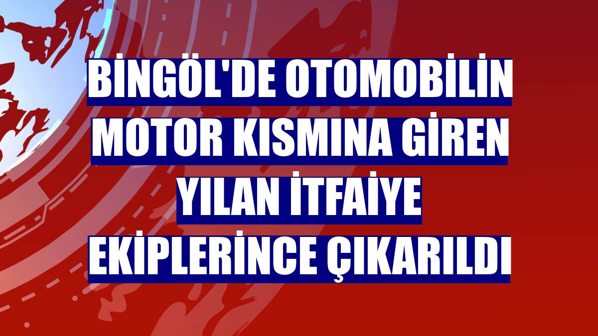 Bingöl'de otomobilin motor kısmına giren yılan itfaiye ekiplerince çıkarıldı