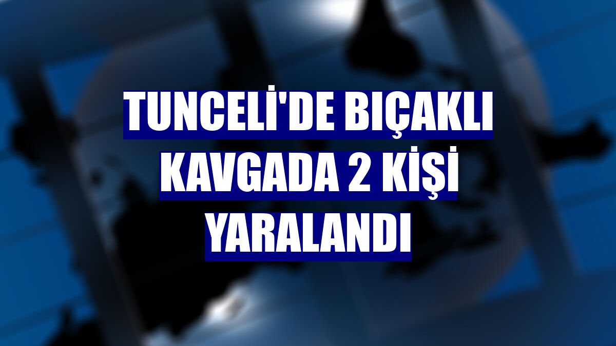 Tunceli'de bıçaklı kavgada 2 kişi yaralandı