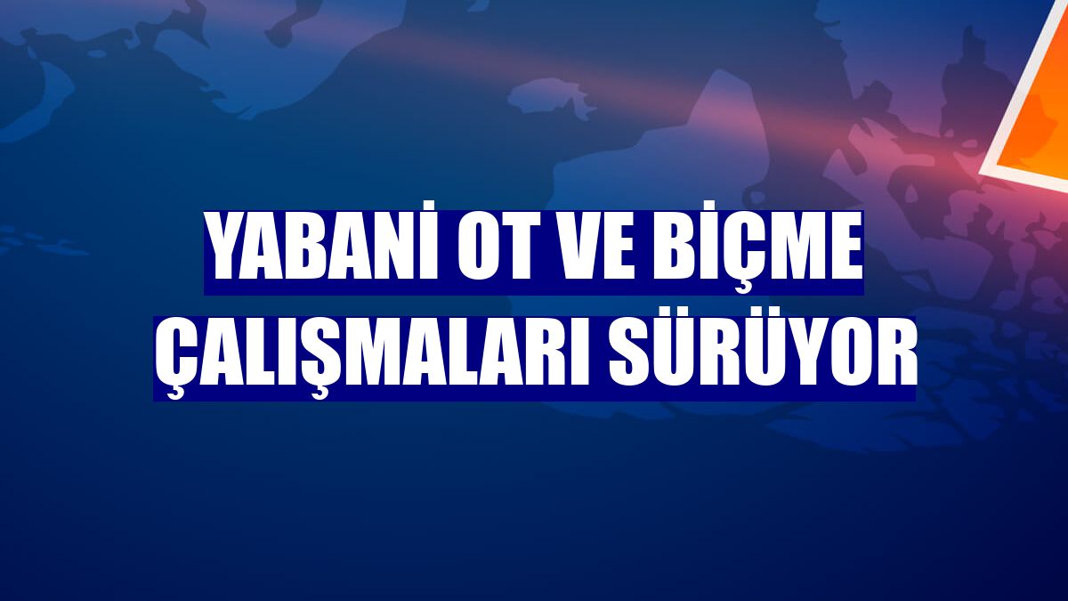 Yabani ot ve biçme çalışmaları sürüyor