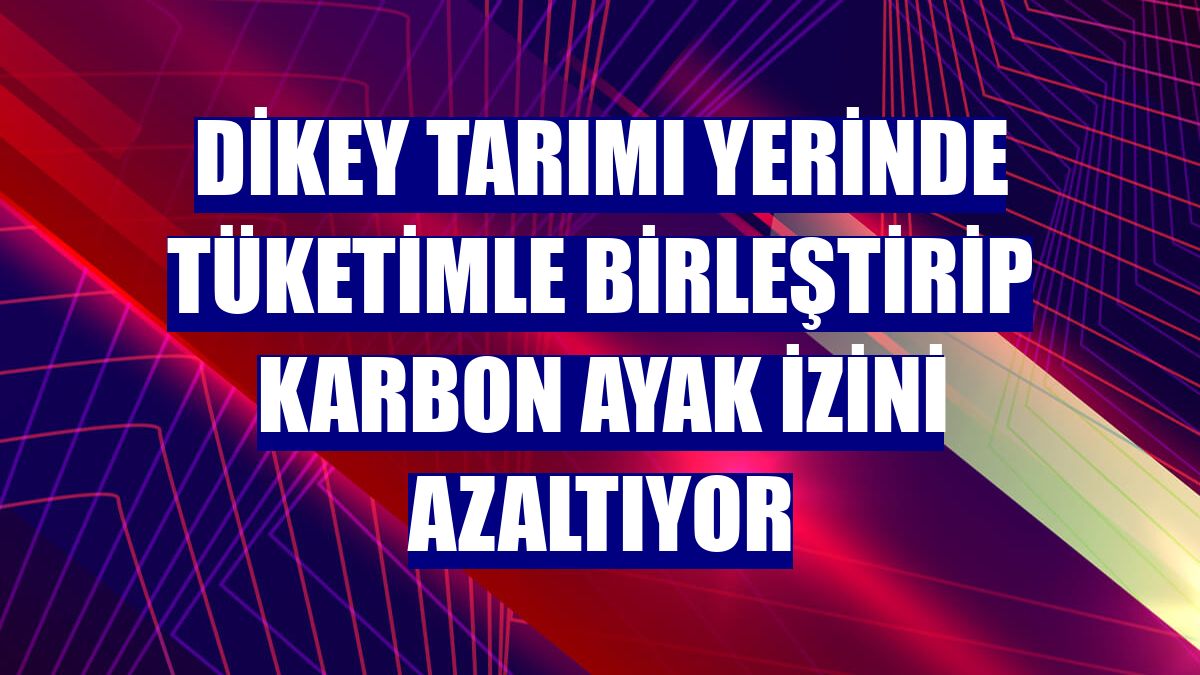Dikey tarımı yerinde tüketimle birleştirip karbon ayak izini azaltıyor