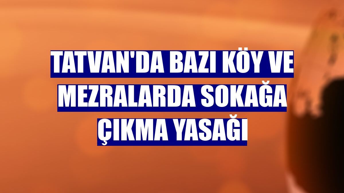 Tatvan'da bazı köy ve mezralarda sokağa çıkma yasağı