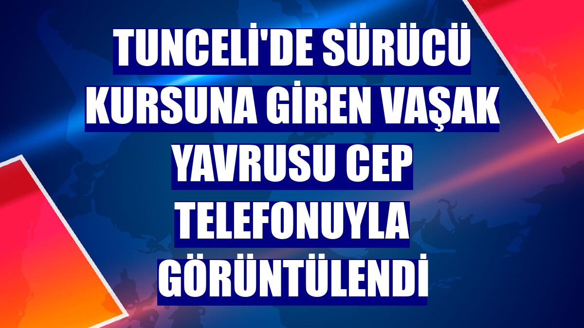 Tunceli'de sürücü kursuna giren vaşak yavrusu cep telefonuyla görüntülendi