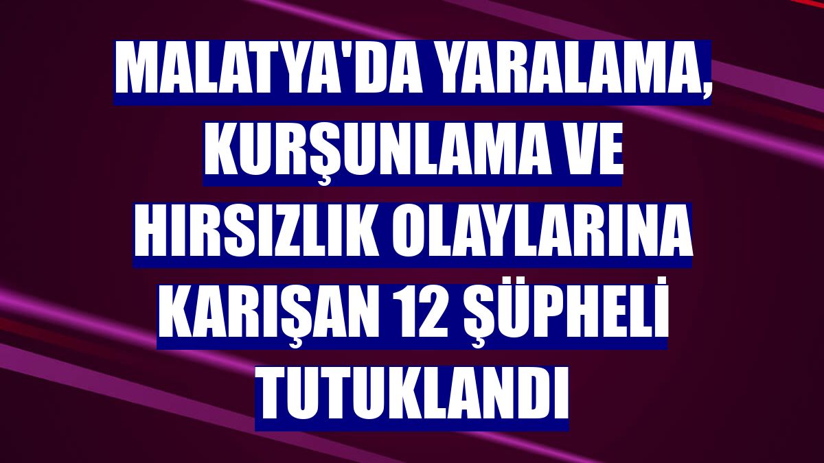 Malatya'da yaralama, kurşunlama ve hırsızlık olaylarına karışan 12 şüpheli tutuklandı