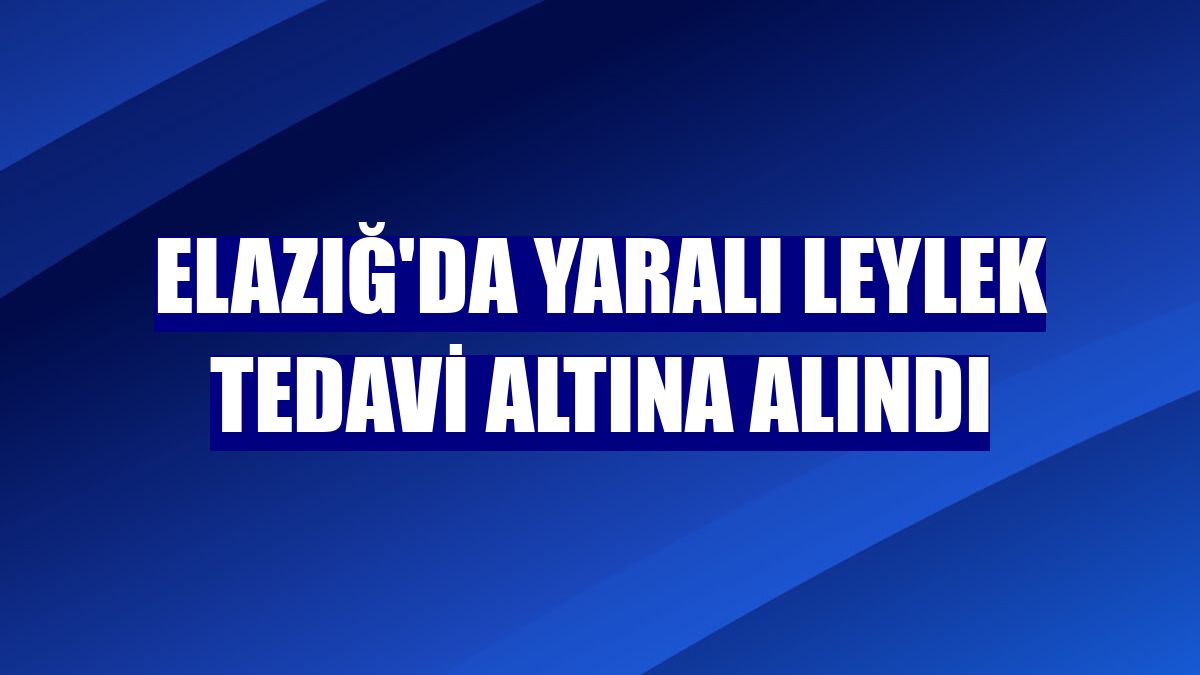 Elazığ'da yaralı leylek tedavi altına alındı