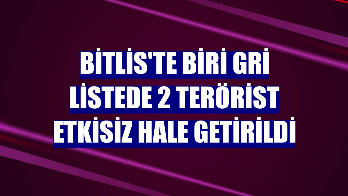 Bitlis'te biri gri listede 2 terörist etkisiz hale getirildi