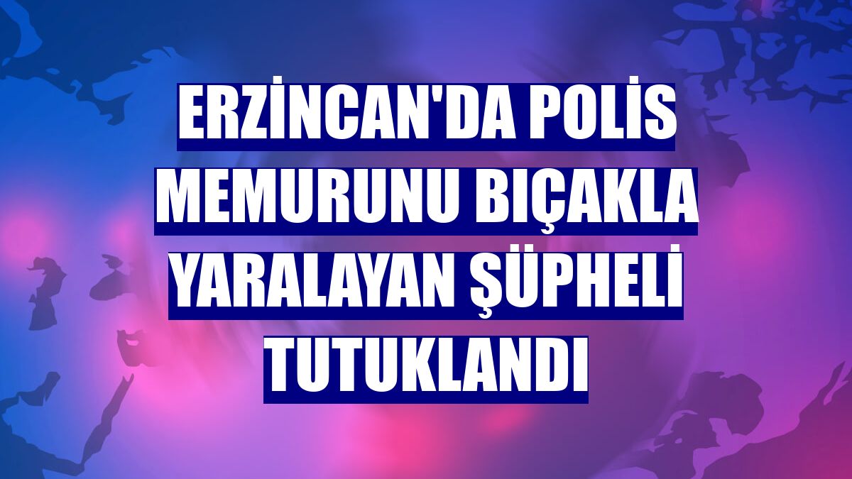 Erzincan'da polis memurunu bıçakla yaralayan şüpheli tutuklandı