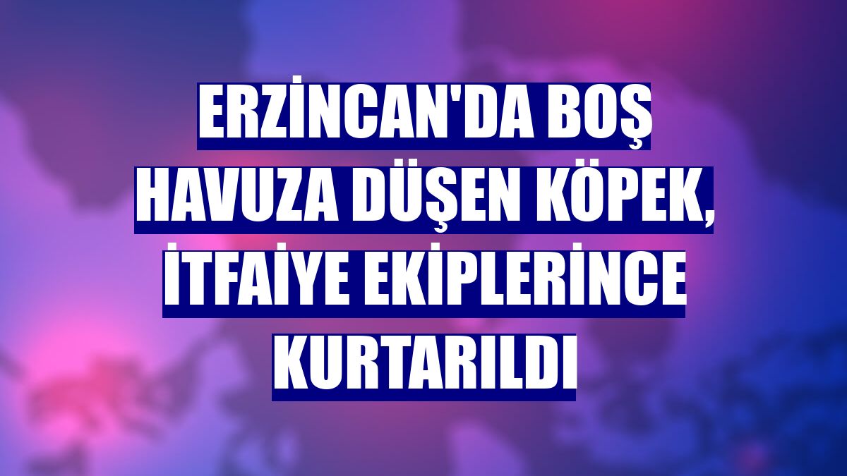 Erzincan'da boş havuza düşen köpek, itfaiye ekiplerince kurtarıldı
