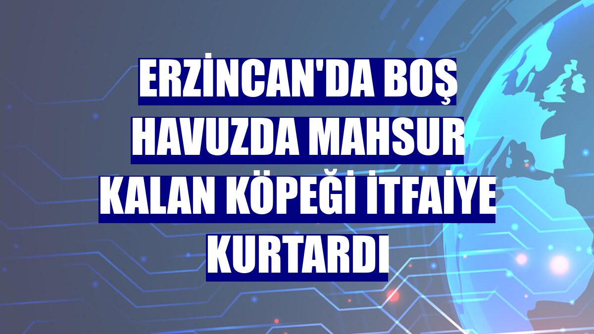 Erzincan'da boş havuzda mahsur kalan köpeği itfaiye kurtardı