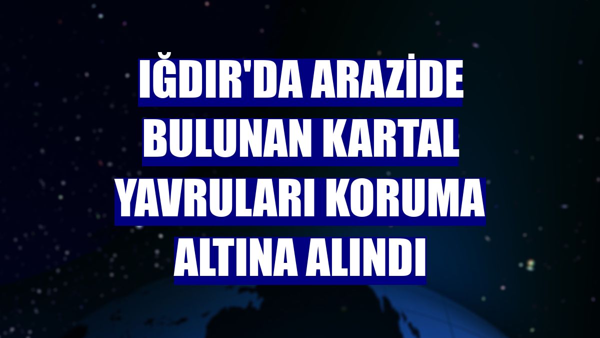 Iğdır'da arazide bulunan kartal yavruları koruma altına alındı