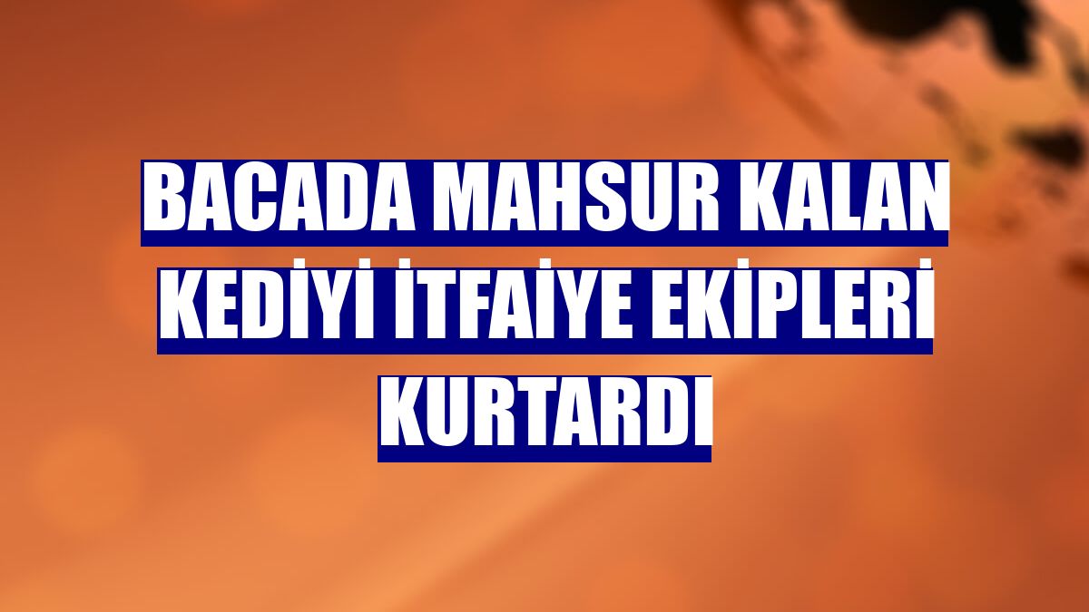 Bacada mahsur kalan kediyi itfaiye ekipleri kurtardı