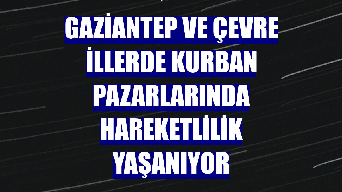 Gaziantep ve çevre illerde kurban pazarlarında hareketlilik yaşanıyor