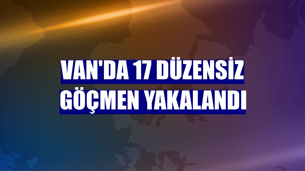 Van'da 17 düzensiz göçmen yakalandı