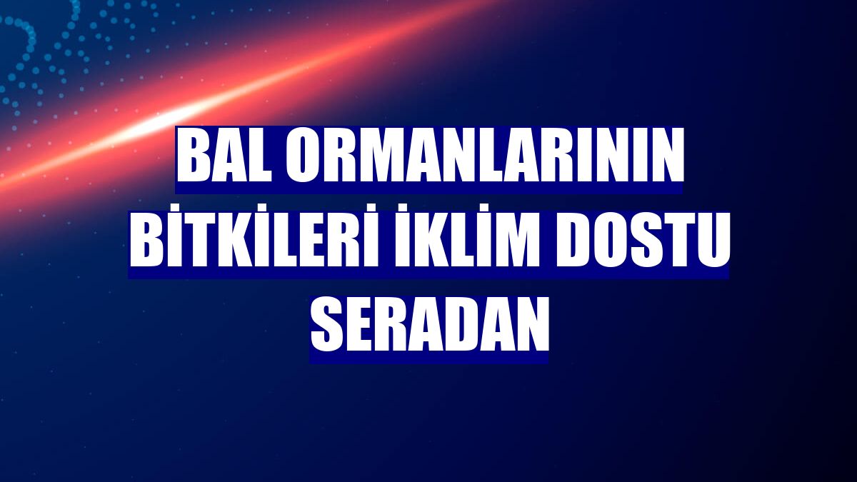 Bal ormanlarının bitkileri iklim dostu seradan