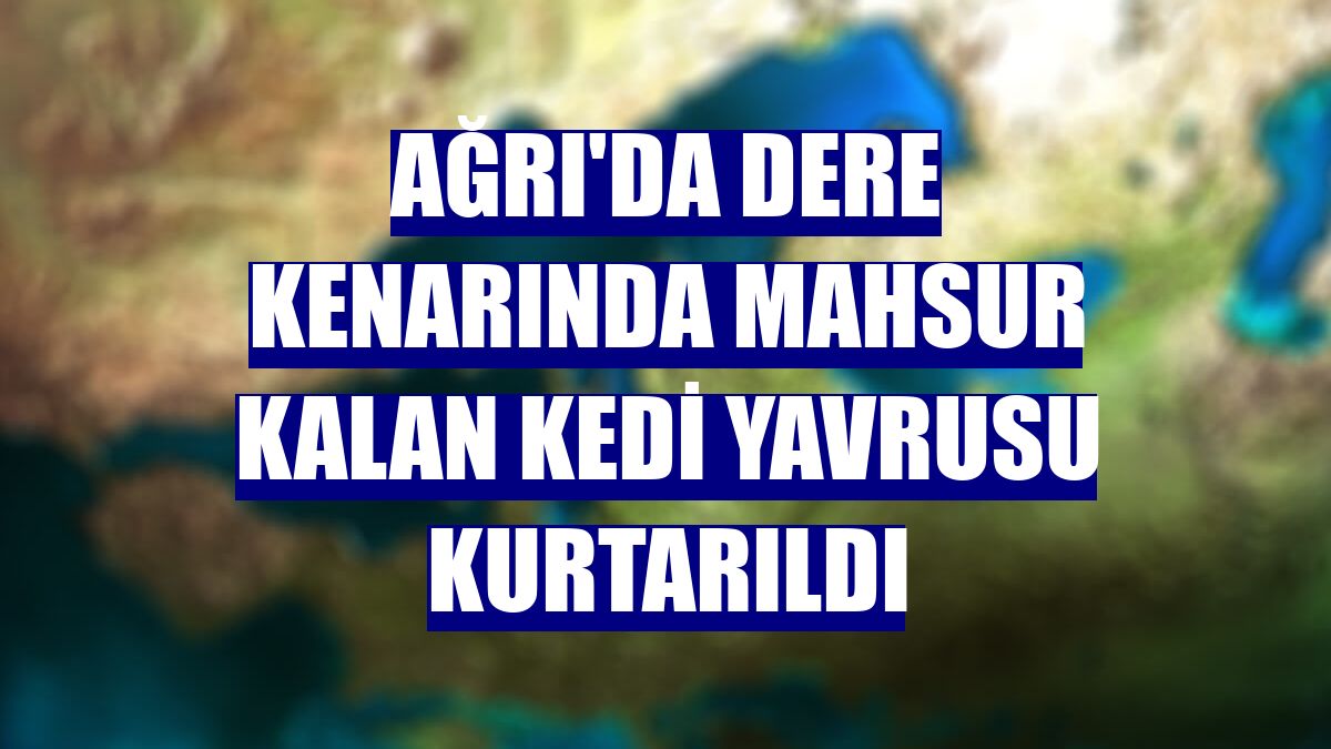 Ağrı'da dere kenarında mahsur kalan kedi yavrusu kurtarıldı