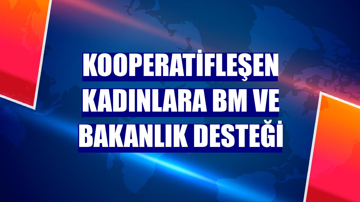 Kooperatifleşen kadınlara BM ve bakanlık desteği