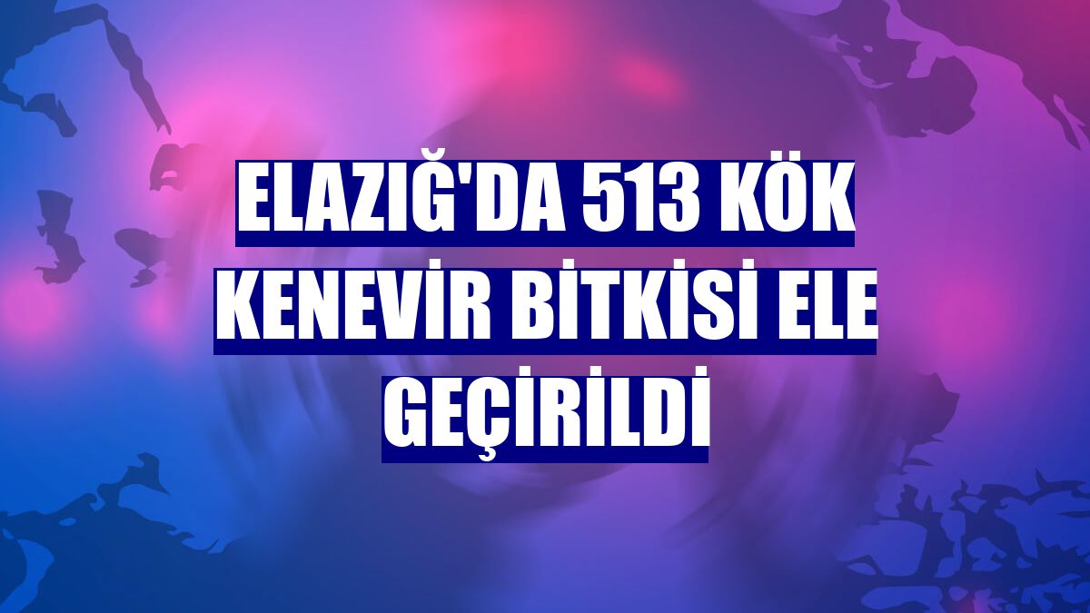 Elazığ'da 513 kök kenevir bitkisi ele geçirildi