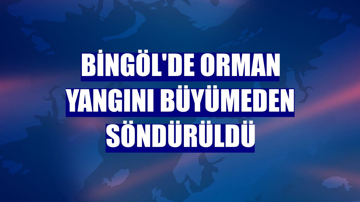 Bingöl'de orman yangını büyümeden söndürüldü