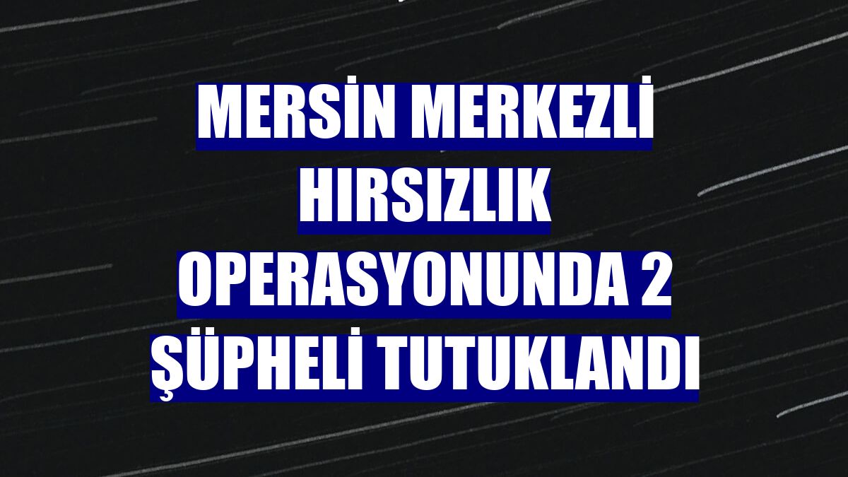 Mersin merkezli hırsızlık operasyonunda 2 şüpheli tutuklandı