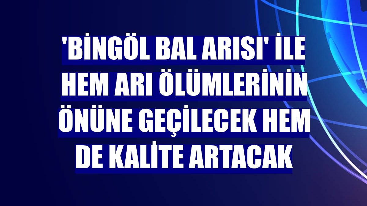 'Bingöl bal arısı' ile hem arı ölümlerinin önüne geçilecek hem de kalite artacak