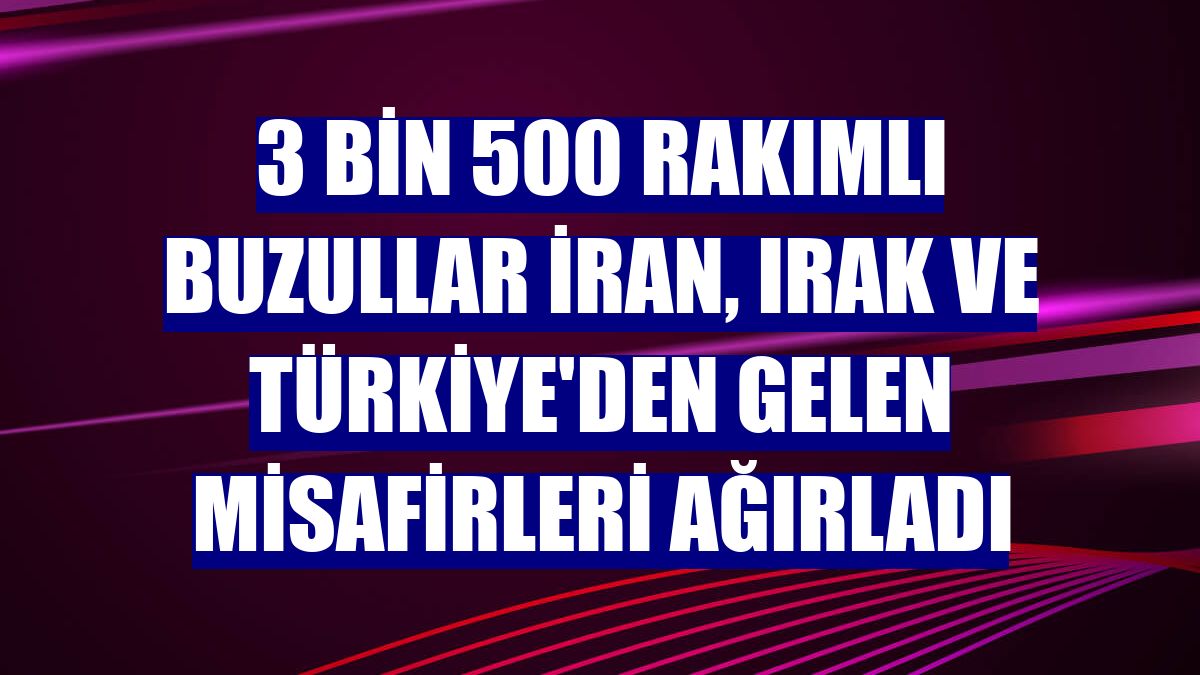 3 bin 500 rakımlı buzullar İran, Irak ve Türkiye'den gelen misafirleri ağırladı