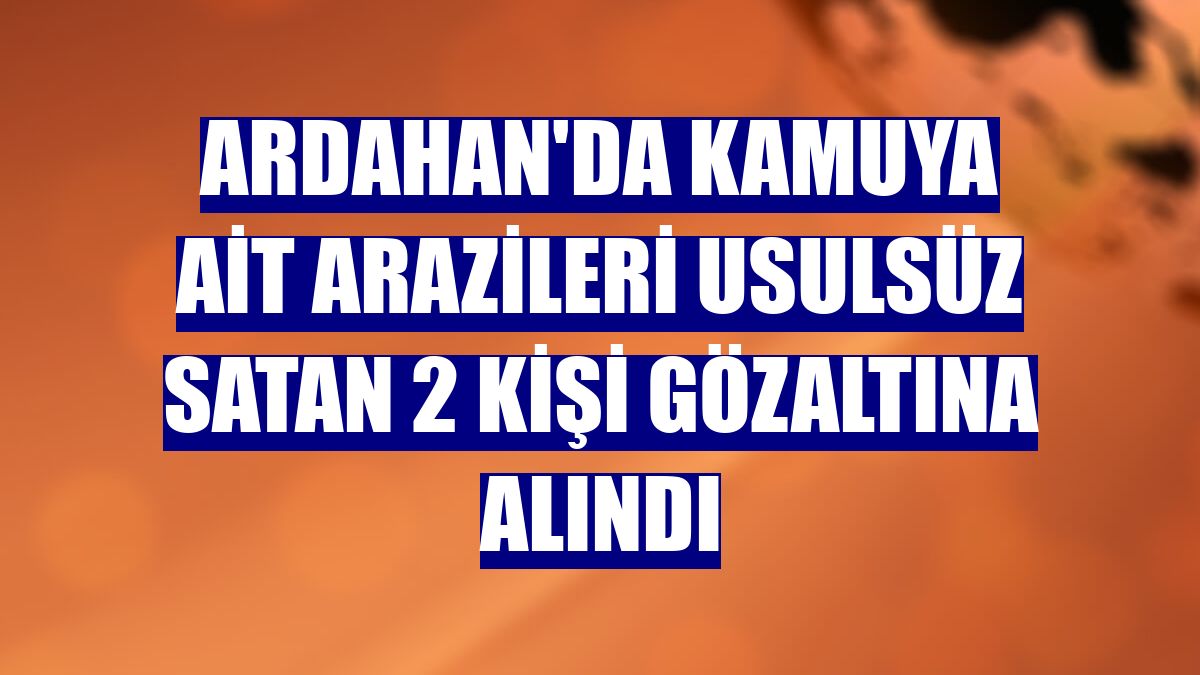 Ardahan'da kamuya ait arazileri usulsüz satan 2 kişi gözaltına alındı
